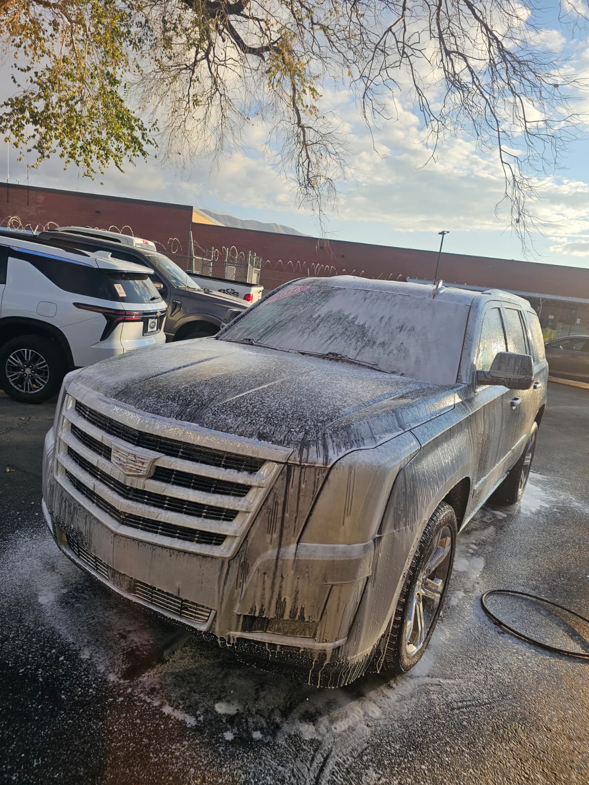 Mobile detailing job