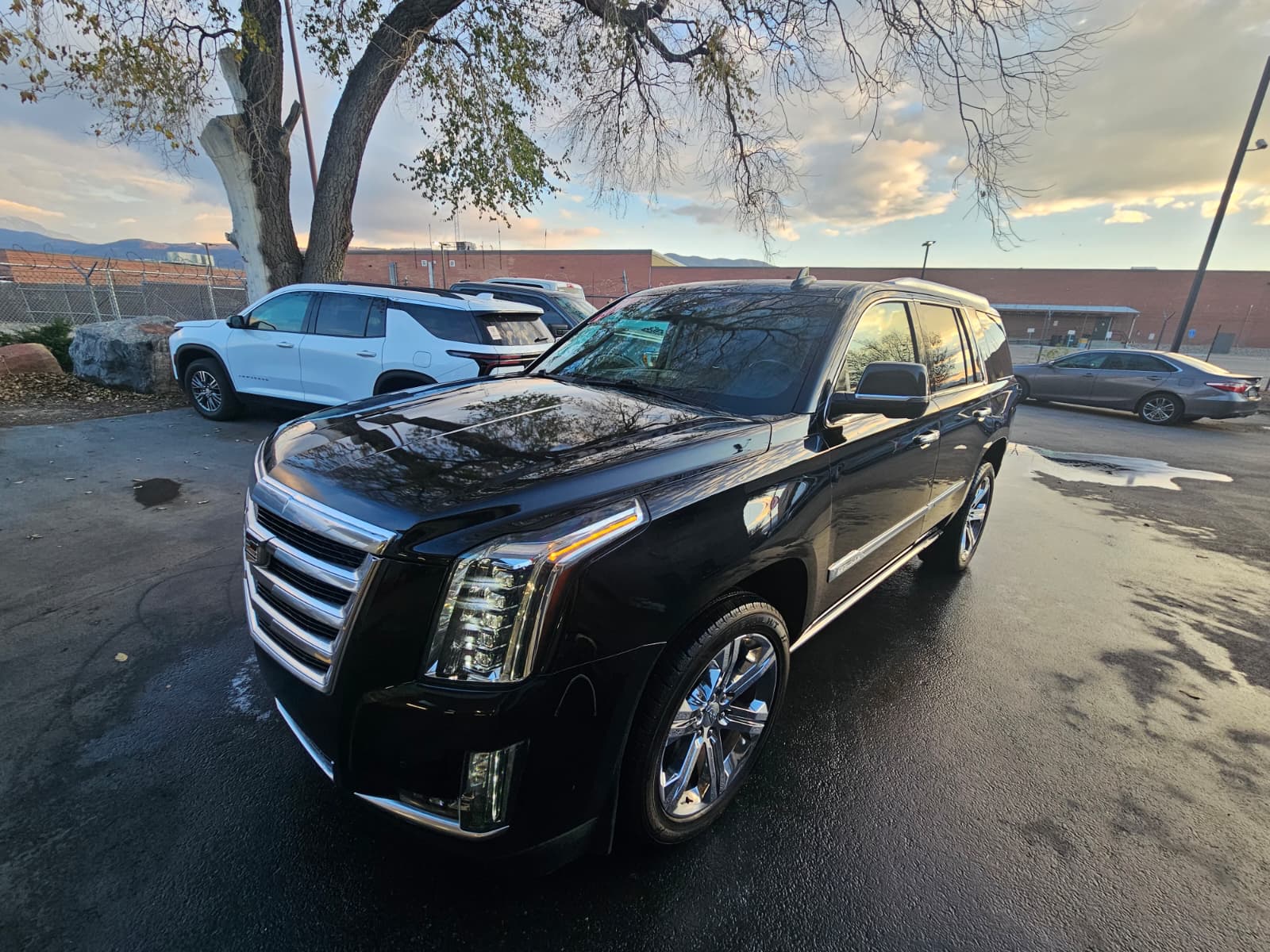 Mobile detailing job