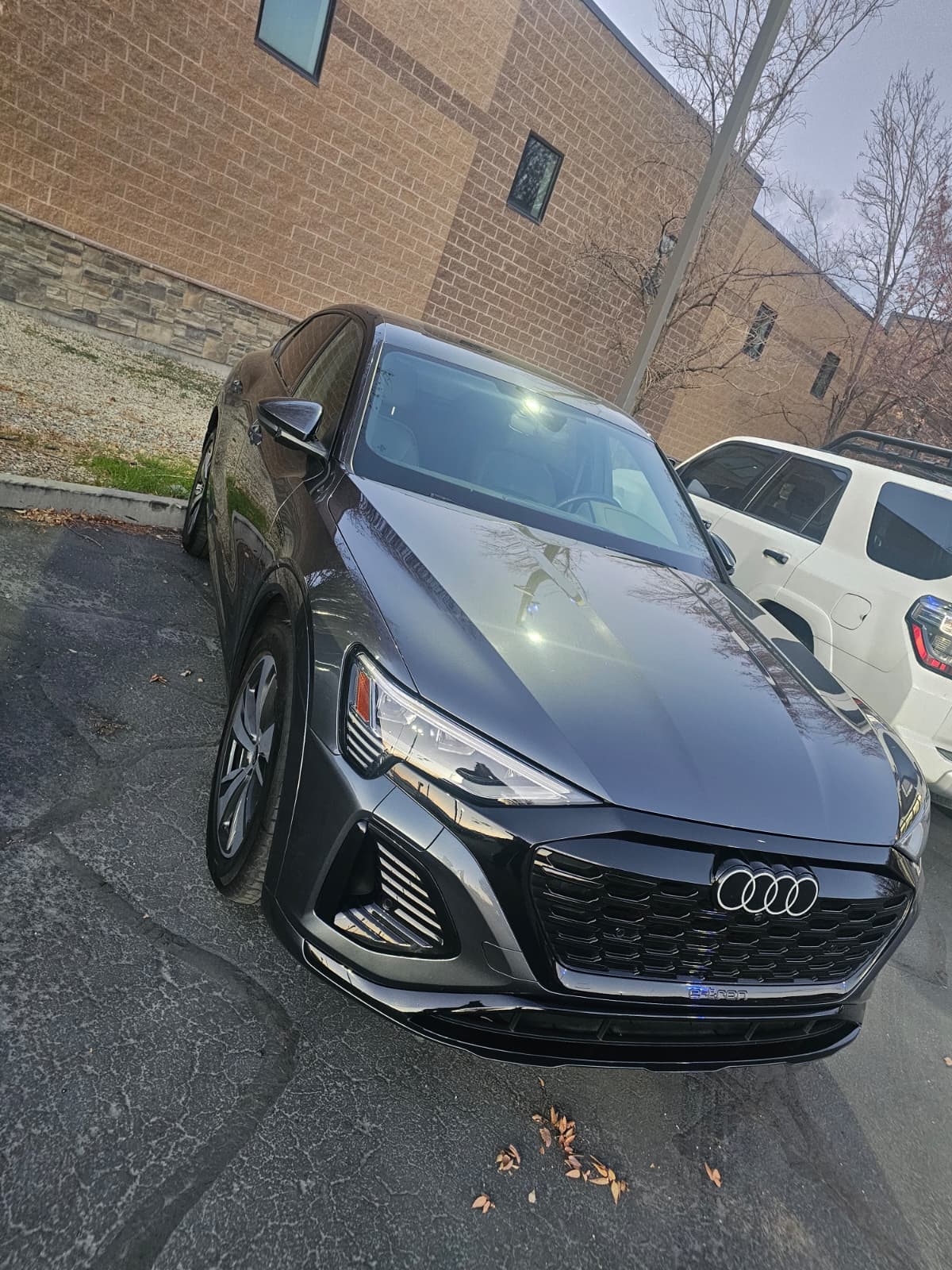 Mobile detailing job